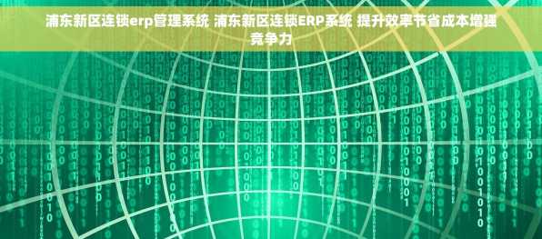浦东新区连锁erp管理系统 浦东新区连锁ERP系统 提升效率节省成本增强竞争力