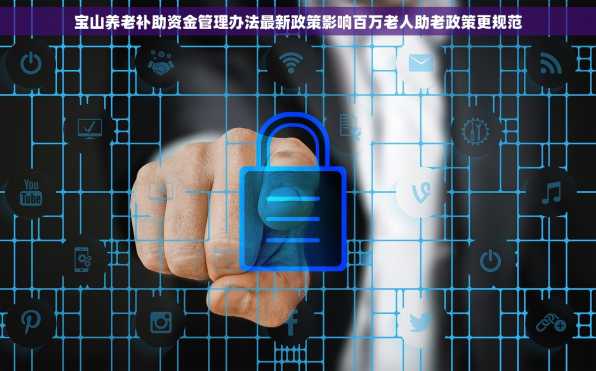 宝山养老补助资金管理办法最新政策影响百万老人助老政策更规范