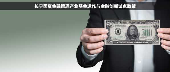 长宁国资金融管理产业基金运作与金融创新试点政策