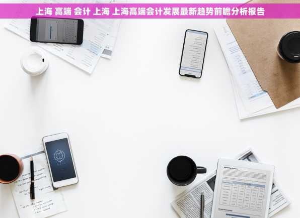 上海 高端 会计 上海 上海高端会计发展最新趋势前瞻分析报告