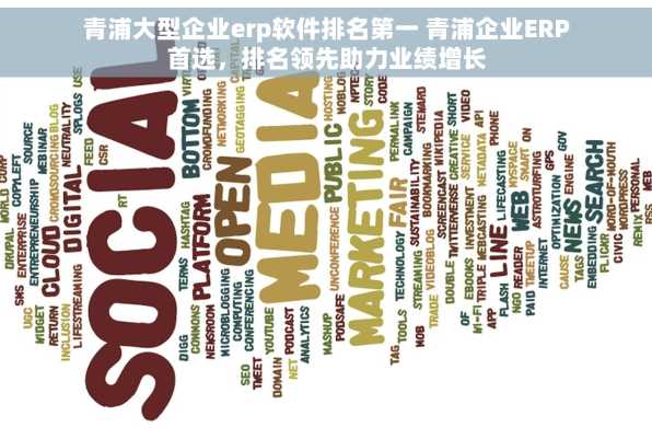 青浦大型企业erp软件排名第一 青浦企业ERP首选，排名领先助力业绩增长