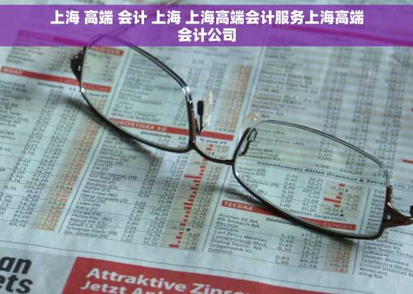 上海 高端 会计 上海 上海高端会计服务上海高端会计公司