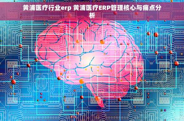 黄浦医疗行业erp 黄浦医疗ERP管理核心与痛点分析