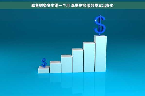 奉贤财务多少钱一个月 奉贤财务服务费支出多少