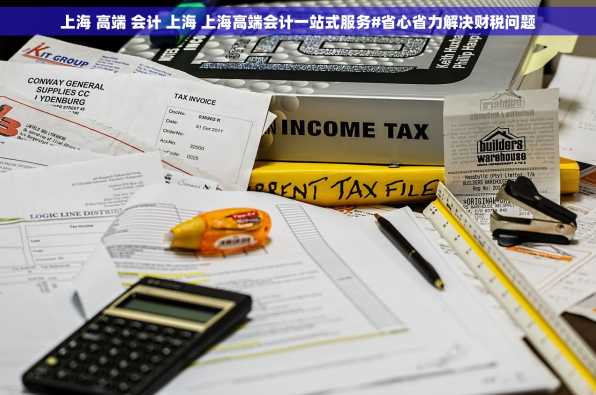 上海 高端 会计 上海 上海高端会计一站式服务#省心省力解决财税问题