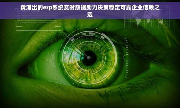 黄浦出的erp系统实时数据助力决策稳定可靠企业信赖之选