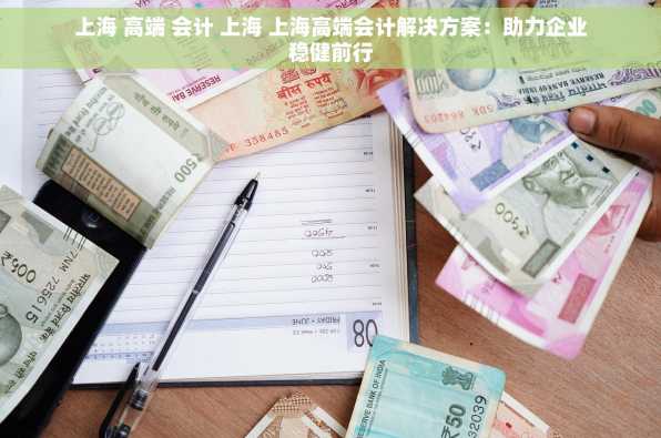 上海 高端 会计 上海 上海高端会计解决方案：助力企业稳健前行