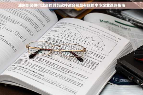 浦东新区性价比高的财务软件适合预算有限的中小企业选购指南