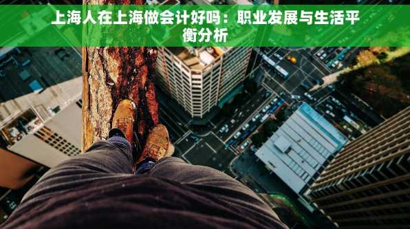 上海人在上海做会计好吗：职业发展与生活平衡分析