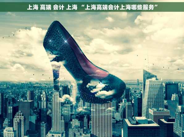 上海 高端 会计 上海 “上海高端会计上海哪些服务”