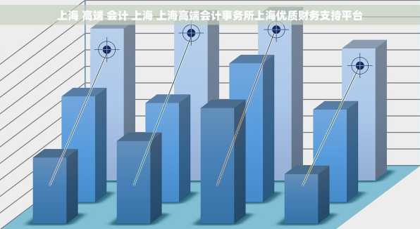 上海 高端 会计 上海 上海高端会计事务所上海优质财务支持平台