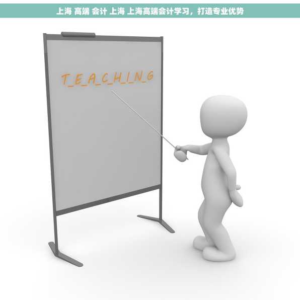 上海 高端 会计 上海 上海高端会计学习，打造专业优势