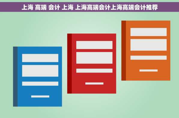 上海 高端 会计 上海 上海高端会计上海高端会计推荐