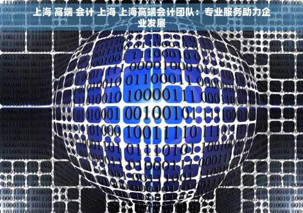 上海 高端 会计 上海 上海高端会计团队：专业服务助力企业发展