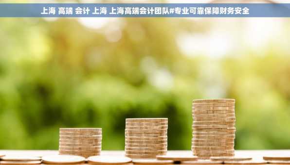上海 高端 会计 上海 上海高端会计团队#专业可靠保障财务安全