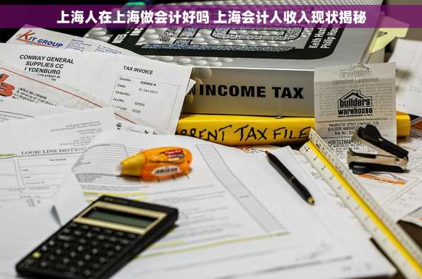 上海人在上海做会计好吗 上海会计人收入现状揭秘