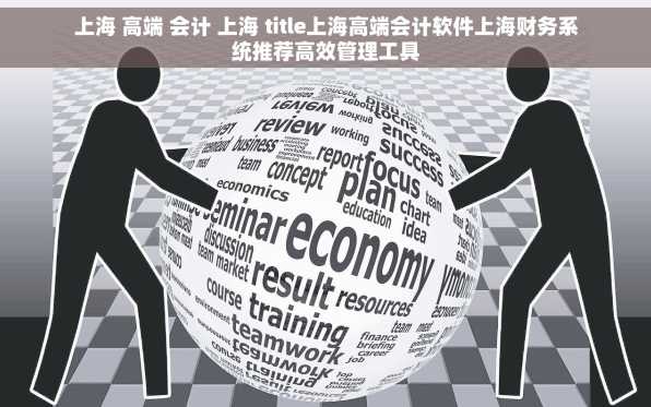 上海 高端 会计 上海 title上海高端会计软件上海财务系统推荐高效管理工具