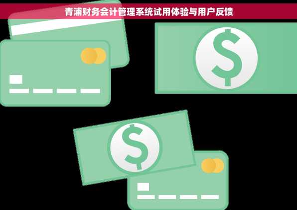 青浦财务会计管理系统试用体验与用户反馈