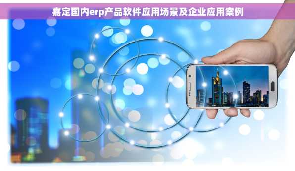 嘉定国内erp产品软件应用场景及企业应用案例