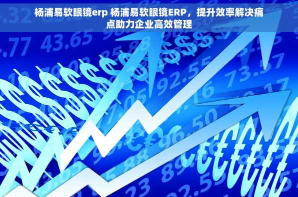 杨浦易软眼镜erp 杨浦易软眼镜ERP，提升效率解决痛点助力企业高效管理