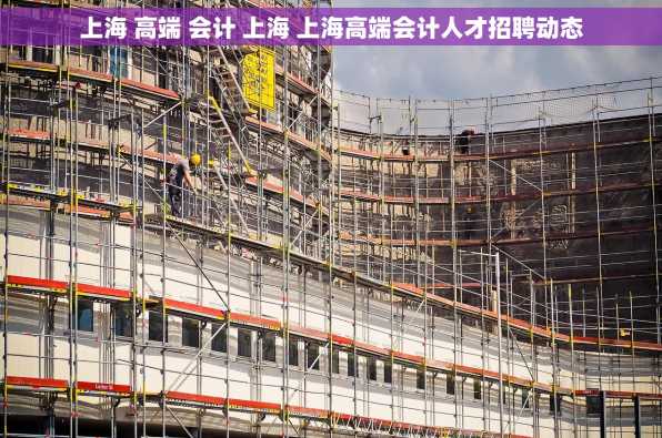 上海 高端 会计 上海 上海高端会计人才招聘动态