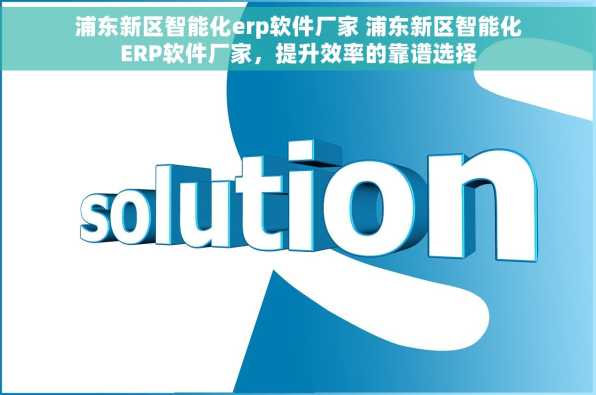 浦东新区智能化erp软件厂家 浦东新区智能化ERP软件厂家，提升效率的靠谱选择