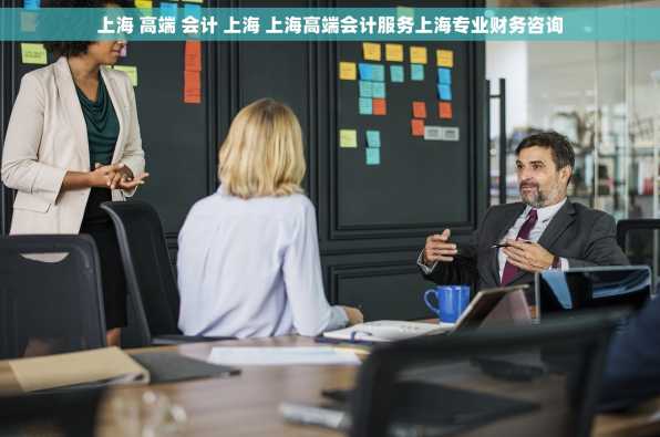 上海 高端 会计 上海 上海高端会计服务上海专业财务咨询
