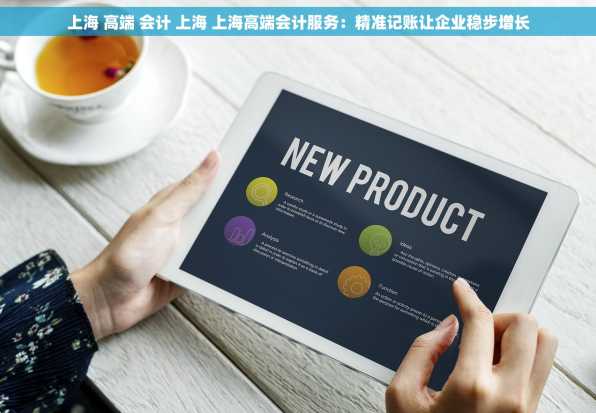 上海 高端 会计 上海 上海高端会计服务：精准记账让企业稳步增长