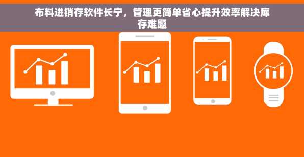 布料进销存软件长宁，管理更简单省心提升效率解决库存难题