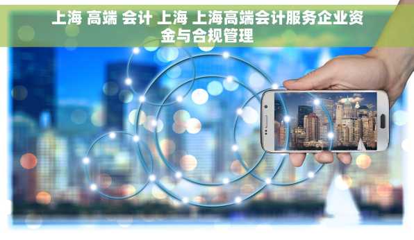 上海 高端 会计 上海 上海高端会计服务企业资金与合规管理
