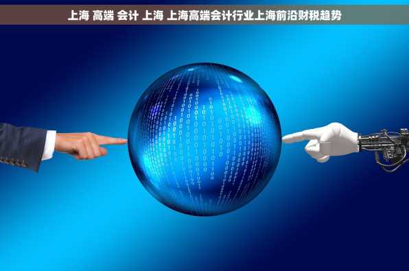 上海 高端 会计 上海 上海高端会计行业上海前沿财税趋势