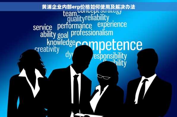 黄浦企业内部erp价格如何使用及解决办法