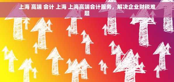 上海 高端 会计 上海 上海高端会计服务，解决企业财税难题