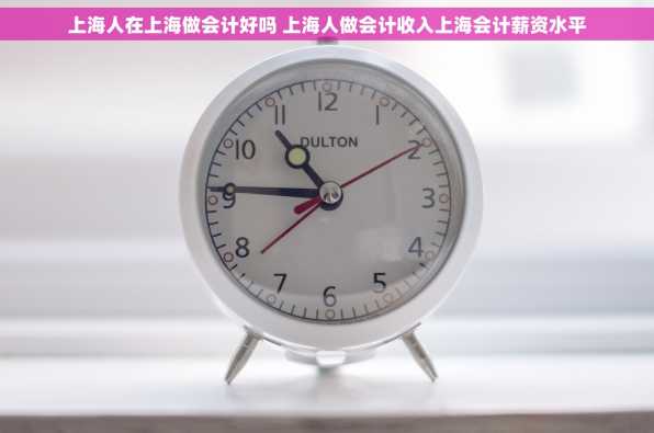 上海人在上海做会计好吗 上海人做会计收入上海会计薪资水平