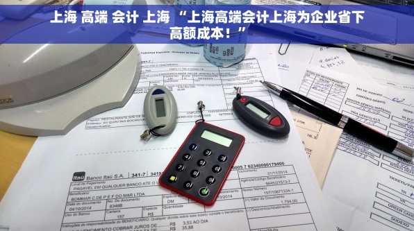 上海 高端 会计 上海 “上海高端会计上海为企业省下高额成本！”