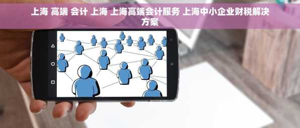 上海 高端 会计 上海 上海高端会计服务 上海中小企业财税解决方案