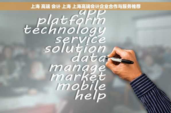 上海 高端 会计 上海 上海高端会计企业合作与服务推荐