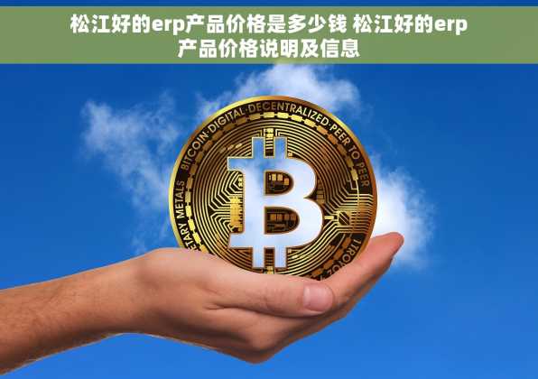 松江好的erp产品价格是多少钱 松江好的erp产品价格说明及信息