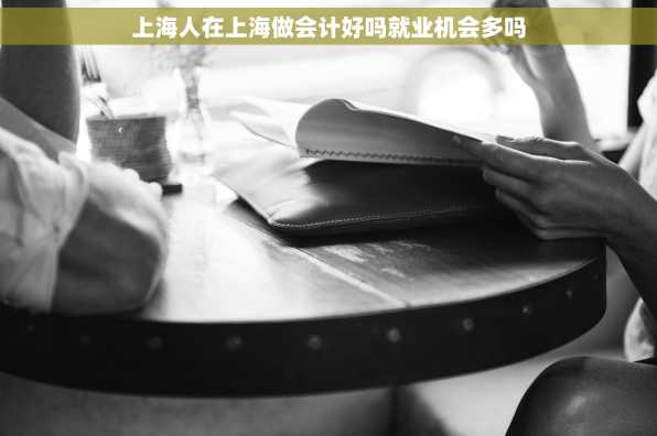 上海人在上海做会计好吗就业机会多吗