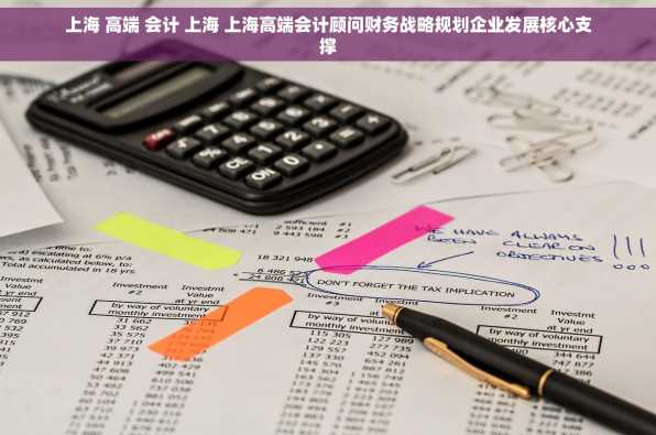 上海 高端 会计 上海 上海高端会计顾问财务战略规划企业发展核心支撑