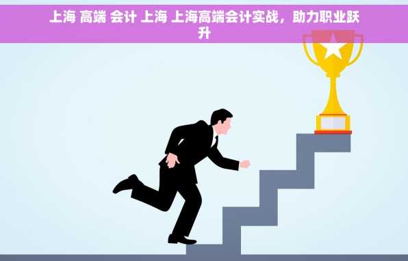上海 高端 会计 上海 上海高端会计实战，助力职业跃升