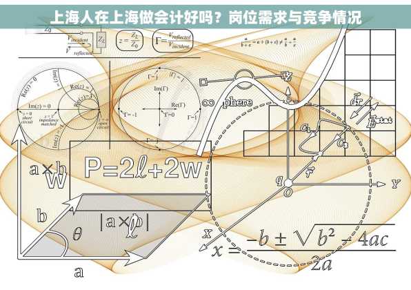 上海人在上海做会计好吗？岗位需求与竞争情况