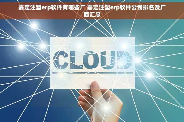 嘉定注塑erp软件有哪些厂 嘉定注塑erp软件公司排名及厂商汇总