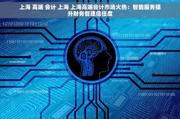 上海 高端 会计 上海 上海高端会计市场火热：智能服务提升财务管理信任度
