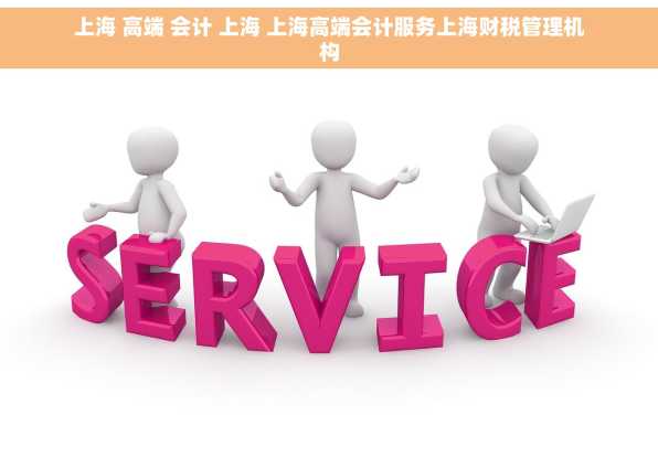 上海 高端 会计 上海 上海高端会计服务上海财税管理机构