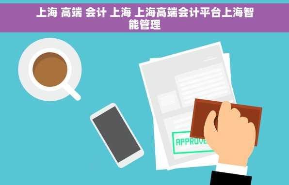 上海 高端 会计 上海 上海高端会计平台上海智能管理