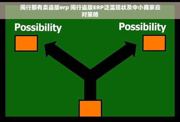 闽行那有卖盗版erp 闽行盗版ERP泛滥现状及中小商家应对策略