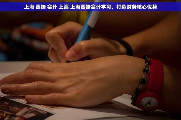 上海 高端 会计 上海 上海高端会计学习，打造财务核心优势