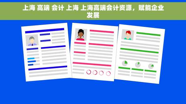 上海 高端 会计 上海 上海高端会计资源，赋能企业发展