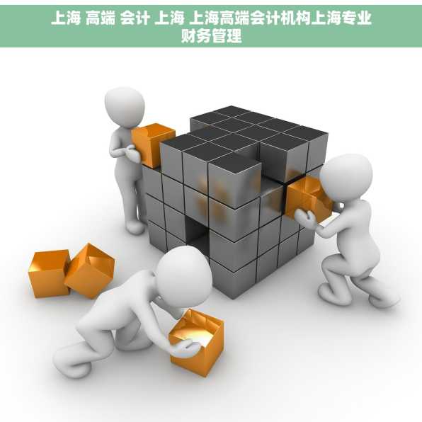 上海 高端 会计 上海 上海高端会计机构上海专业财务管理